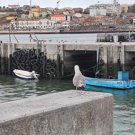 Douro Porto View Apartament *