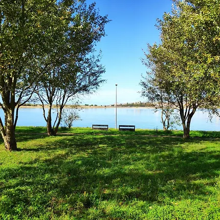 Lägenhet Douro Porto View