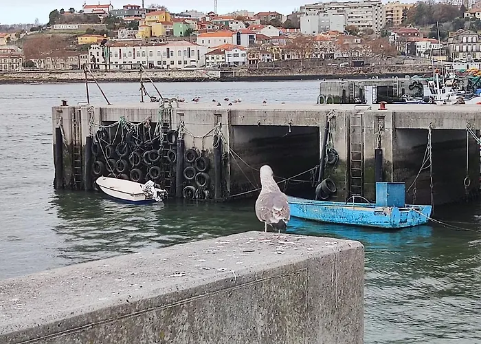 Douro Porto View Апартаменты *