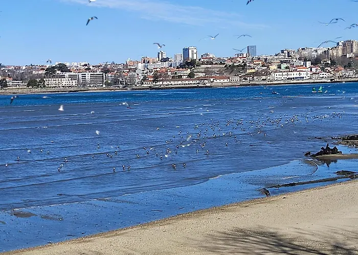 Douro Porto View فيلا نوفا دي غايا